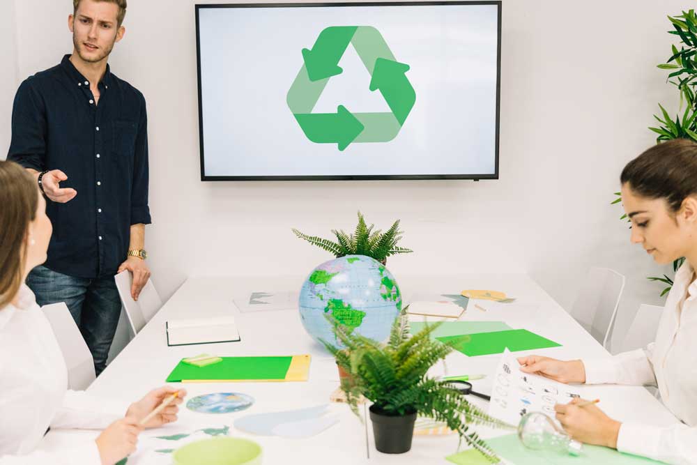 EcoVadis Consultancy