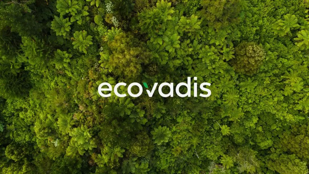 Ecovadis consultancy